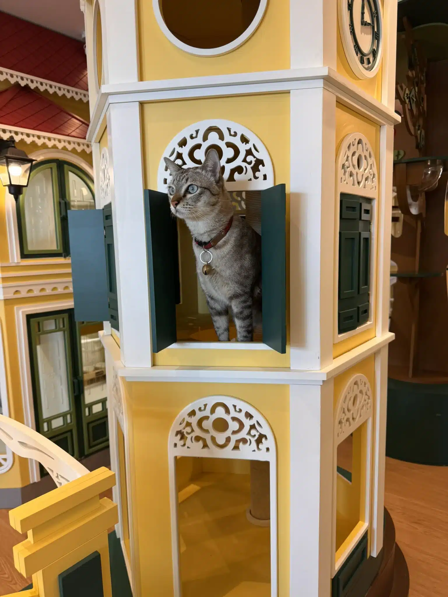 บรรยากาศห้องพักแมวสไตล์บ้านไม้พรีเมียม โรงแรมแมว นนทบุรี Wimanmeow Cat Hotel