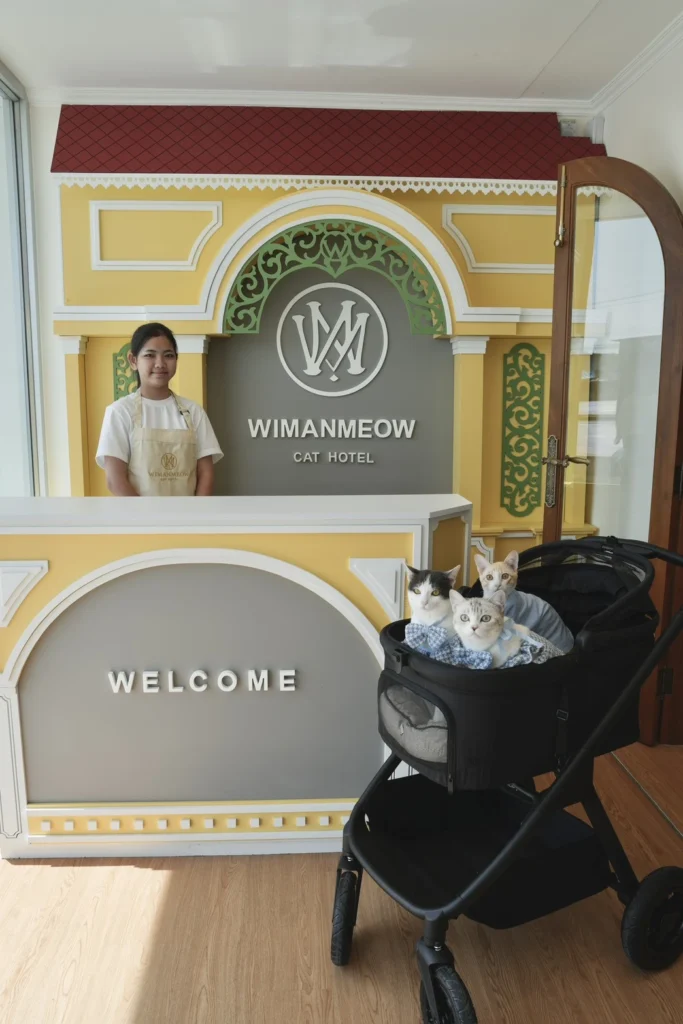 โรงแรมแมวรัตนาธิเบศร์ ที่เจ้าของสบายใจ น้องแมวพักสบายเหมือนอยู่บ้าน 1