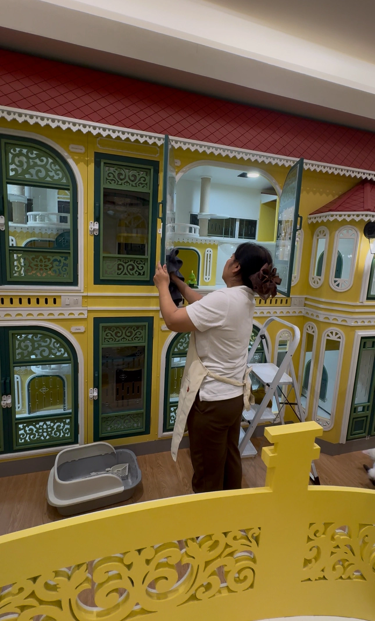 โรงแรมแมว นนทบุรี ห้องแมวส่วนตัวของวิมานแมว ออกแบบปลอดภัย แยกเป็นรายตัว