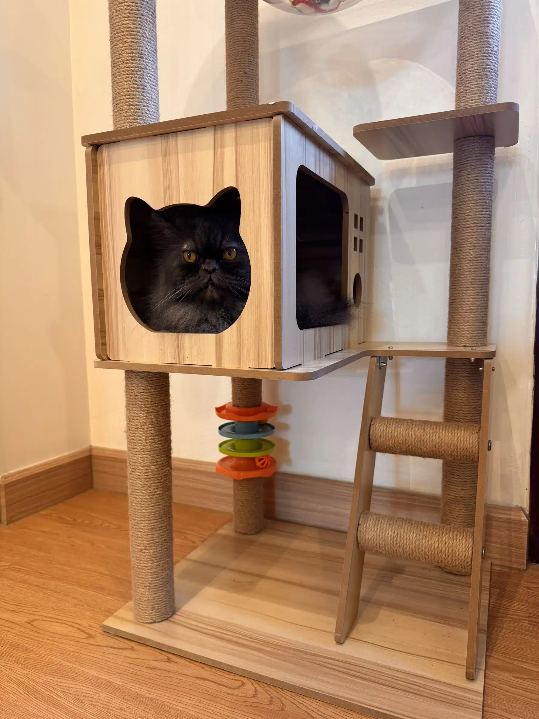 โรงแรมแมว Wimanmeow