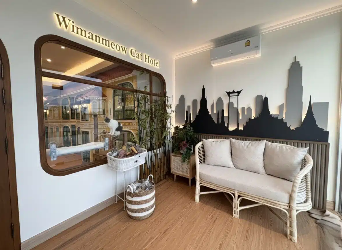 โรงแรมแมวแจ้งวัฒนะ Wimanmeow Cat Hotel บรรยากาศโรงแรมห้องพักพรีเมียม