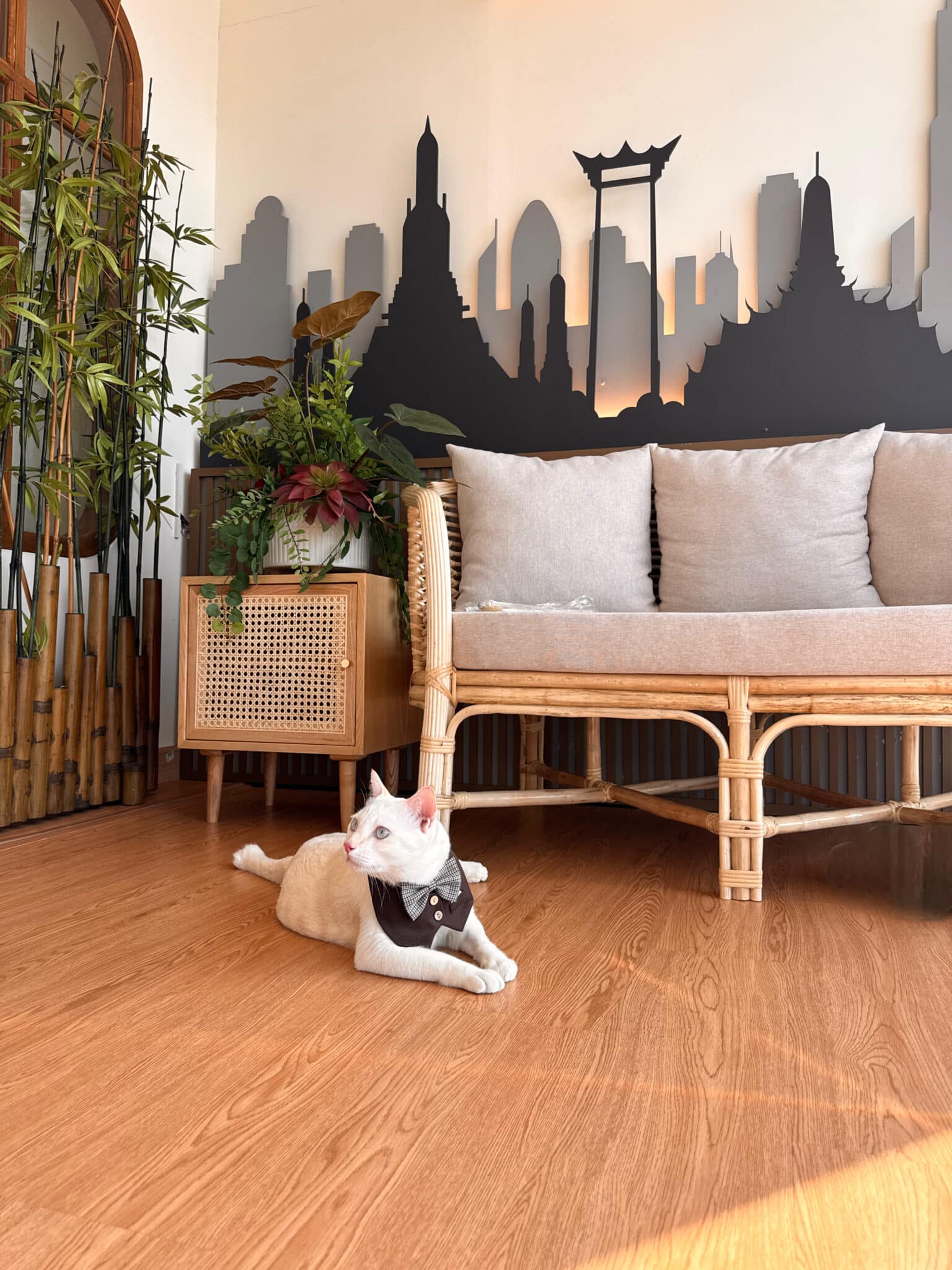 การใช้เทคนิค Small to Big ใน โรงแรมแมว นนทบุรี เพื่อเป็น วิธีให้แมวปรับตัว และลดความกังวล