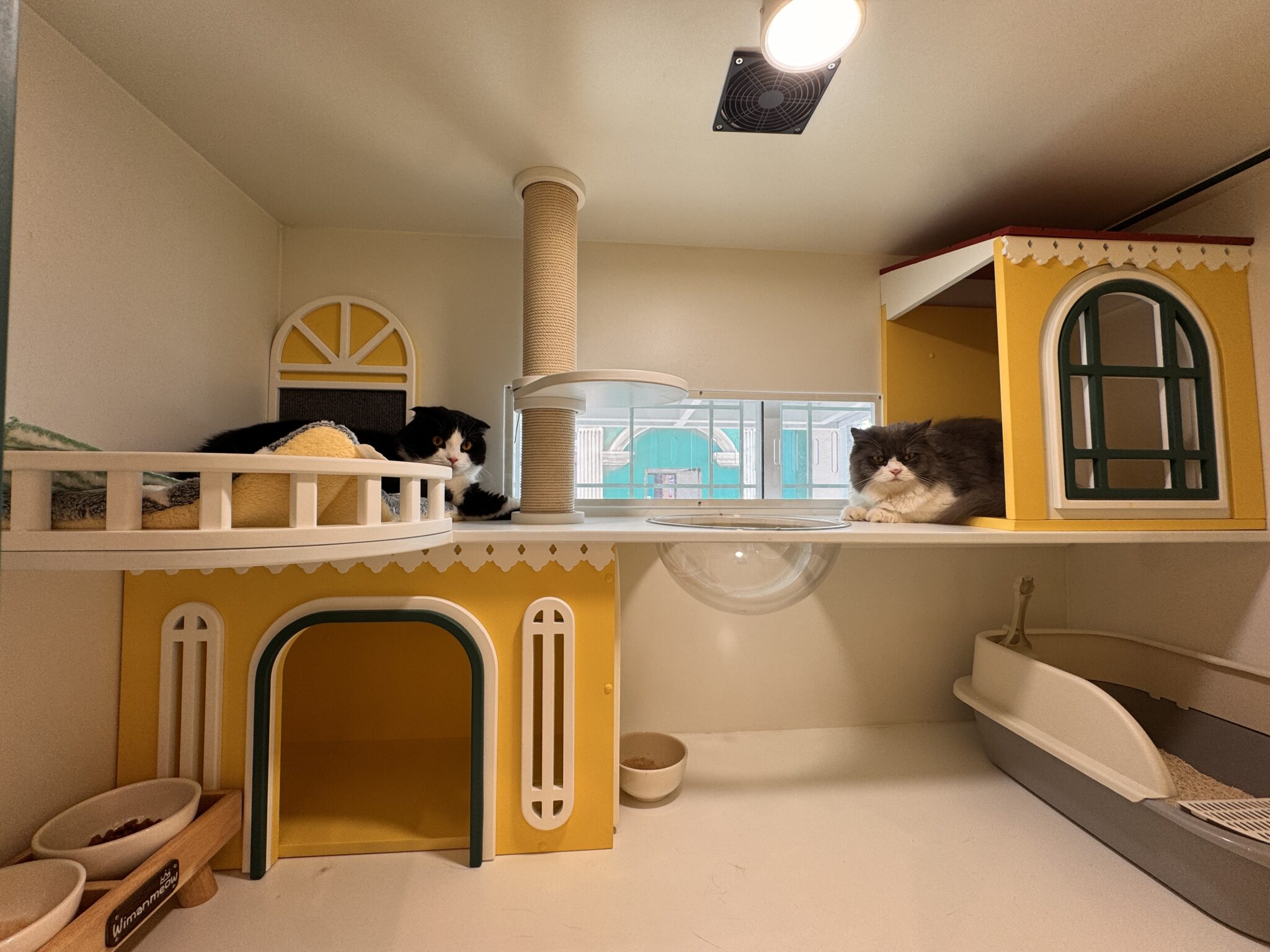 กังวลกับการฝากแมว เลือกโรงแรมแมวอย่างปลอดภัย เพื่อลดความเครียดของน้องแมว