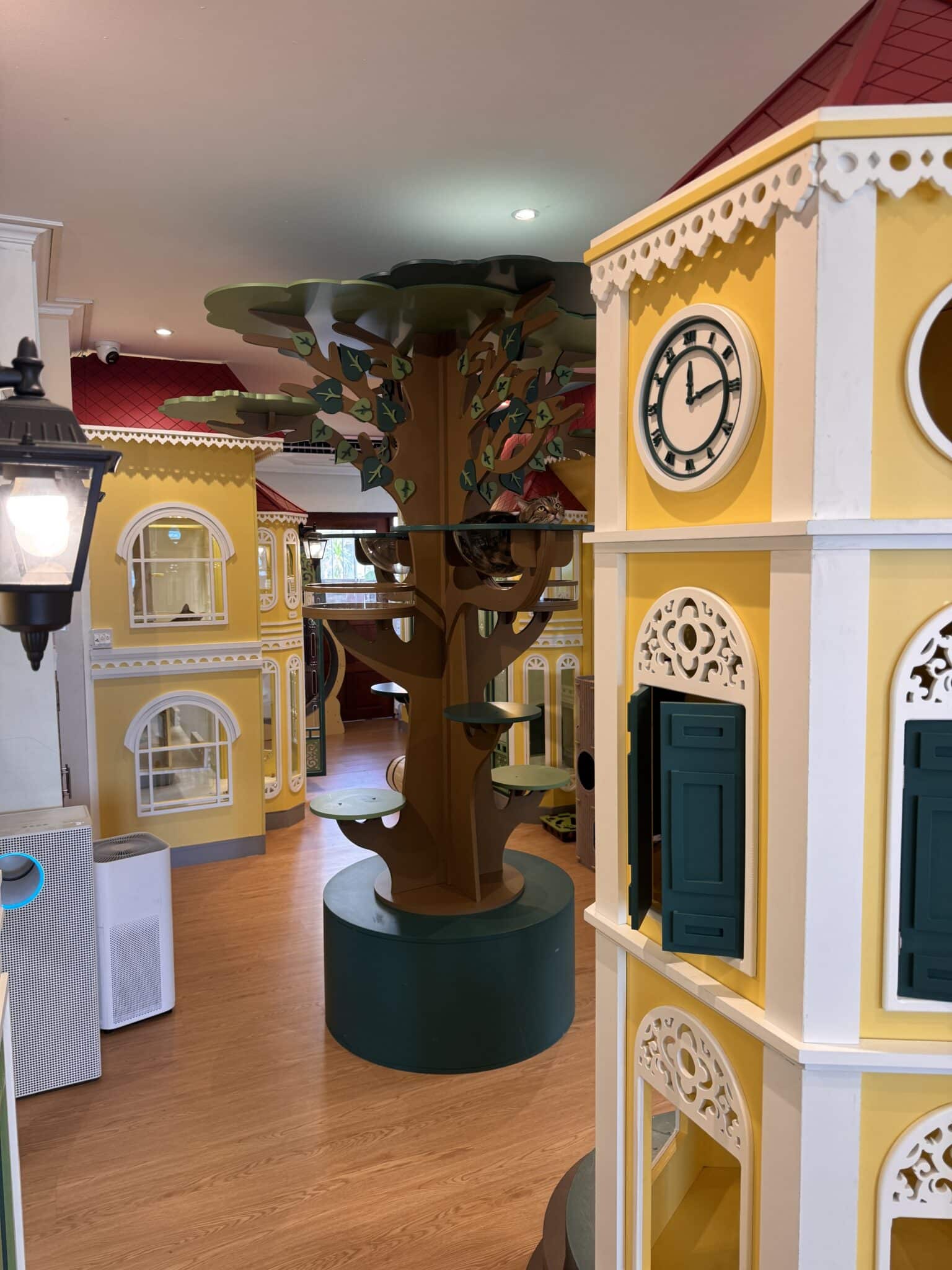 บรรยากาศภายในโรงแรมแมวราชพฤกษ์ ห้องพักน้องแมวแบบส่วนตัว สะอาด ปลอดภัย เดินทางสะดวกโซนพระราม 5 และบางบัวทอง