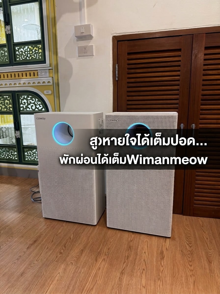โรงแรมแมว นนทบุรี Wimanmeow Cat Hotel สะอาดด้วยเครื่องฟอกอากาศ Coway