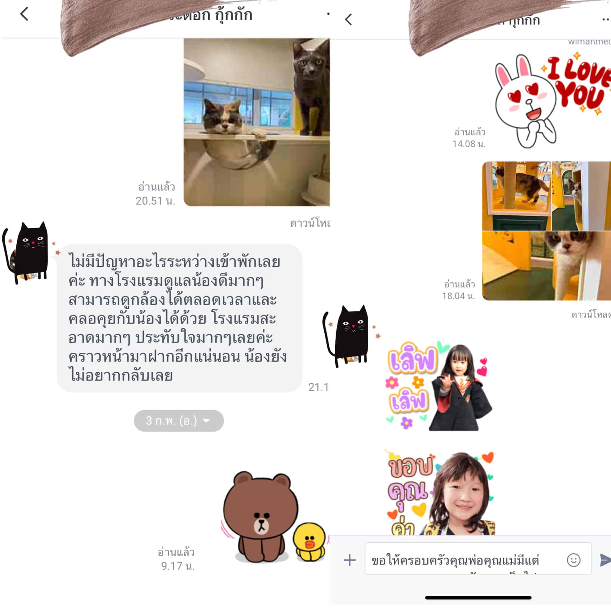 รีวิวโรงแรมแมวที่ไหนดี แนะนำที่พักแมวพรีเมียม มาตรฐานความปลอดภัยสูง