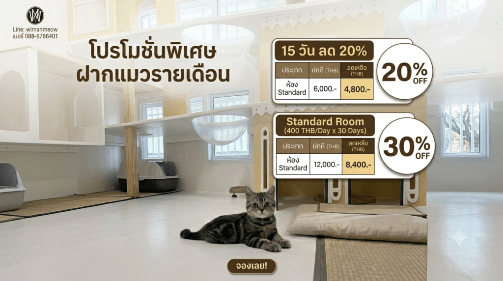 รับฝากแมวรายเดือน ราคาถูก บริการดูแลใกล้ชิด อุ่นใจเหมือนอยู่บ้าน 1 รับฝากแมวรายเดือน ราคาถูก บริการดูแลใกล้ชิด อุ่นใจเหมือนอยู่บ้าน 1