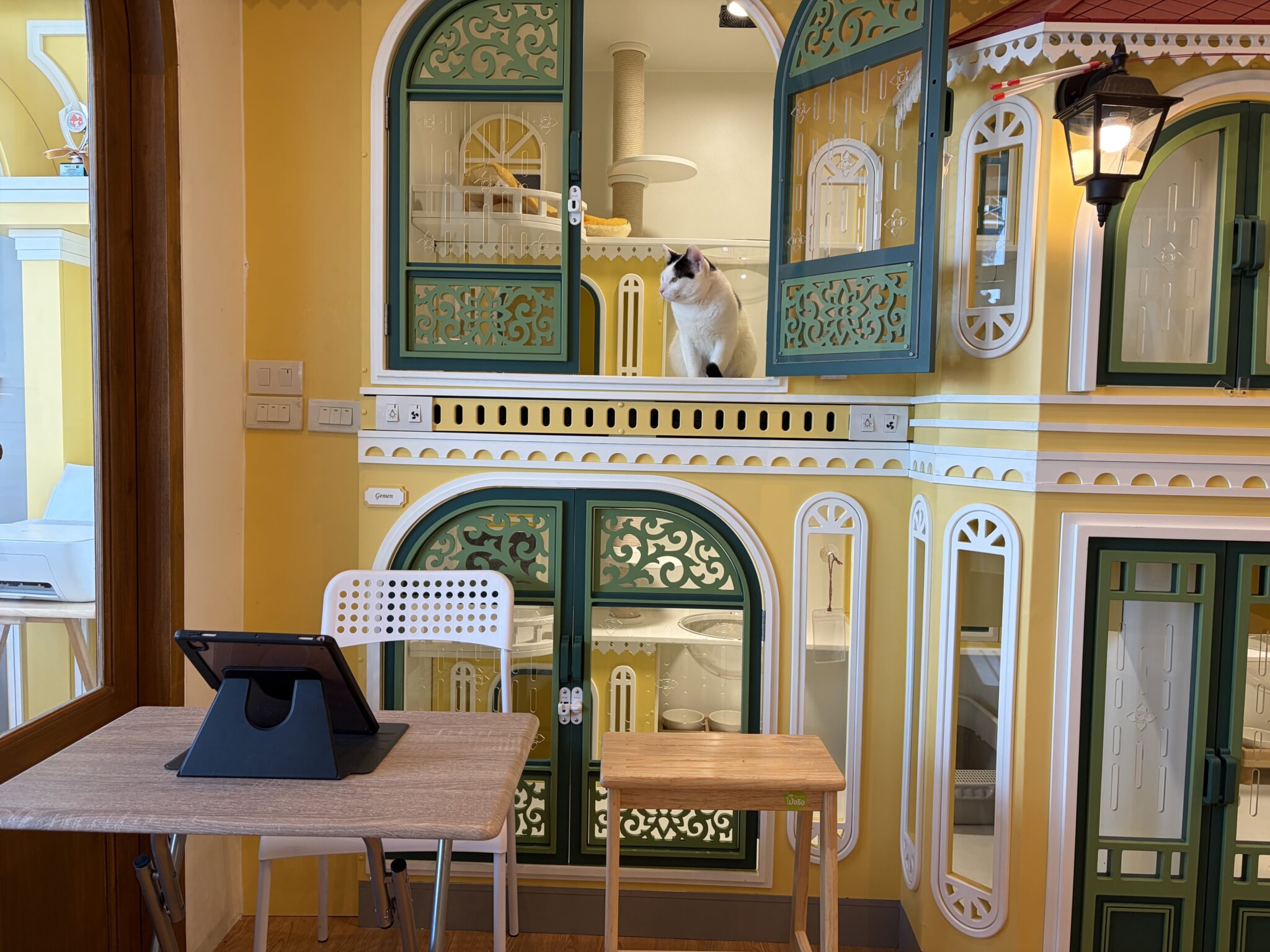 โรงแรมแมวระบบล็อก 2 ชั้นมาตรฐานความปลอดภัยสูงสุดที่ทาสแมวต้องเลือก