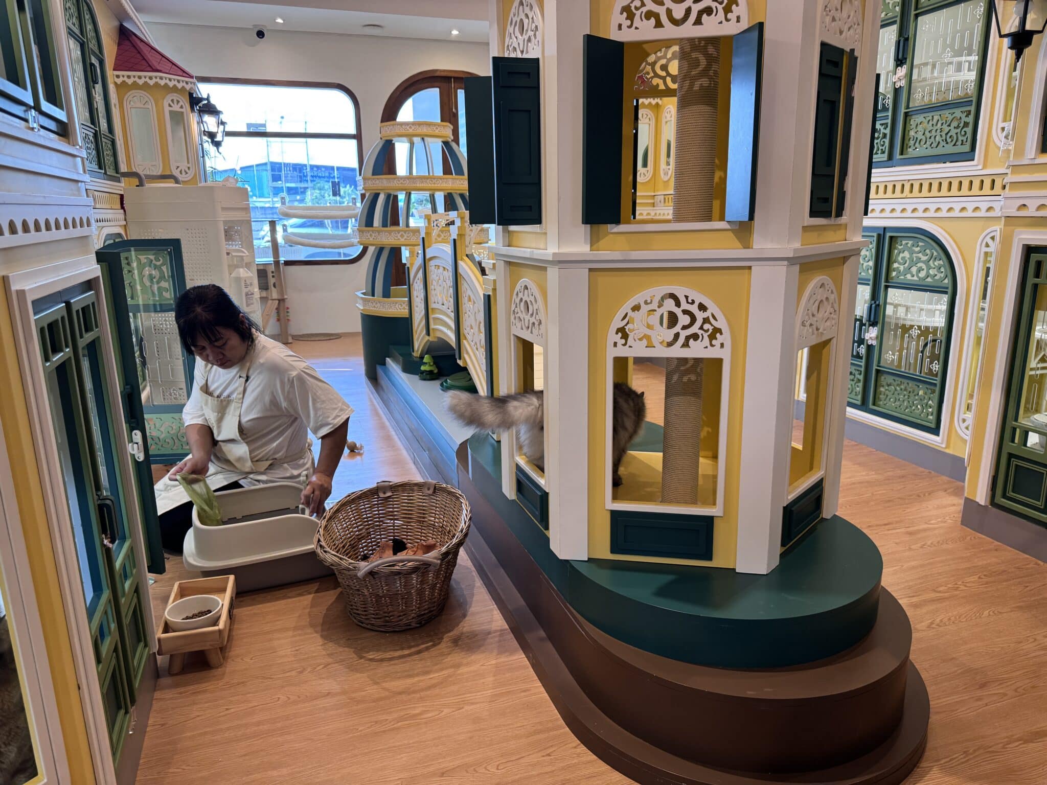 โรงแรมแมวระบบปิดปลอดภัย 100% Wimanmeow Cat Hotel