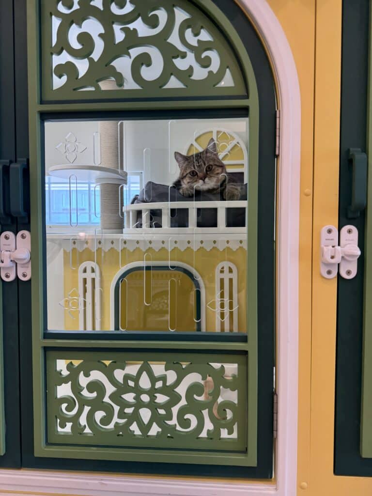 โรงแรมแมวระบบล็อก 2 ชั้นมาตรฐานความปลอดภัยสูงสุดที่ทาสแมวต้องเลือก 4 โรงแรมแมวระบบล็อก 2 ชั้นมาตรฐานความปลอดภัยสูงสุดที่ทาสแมวต้องเลือก 4