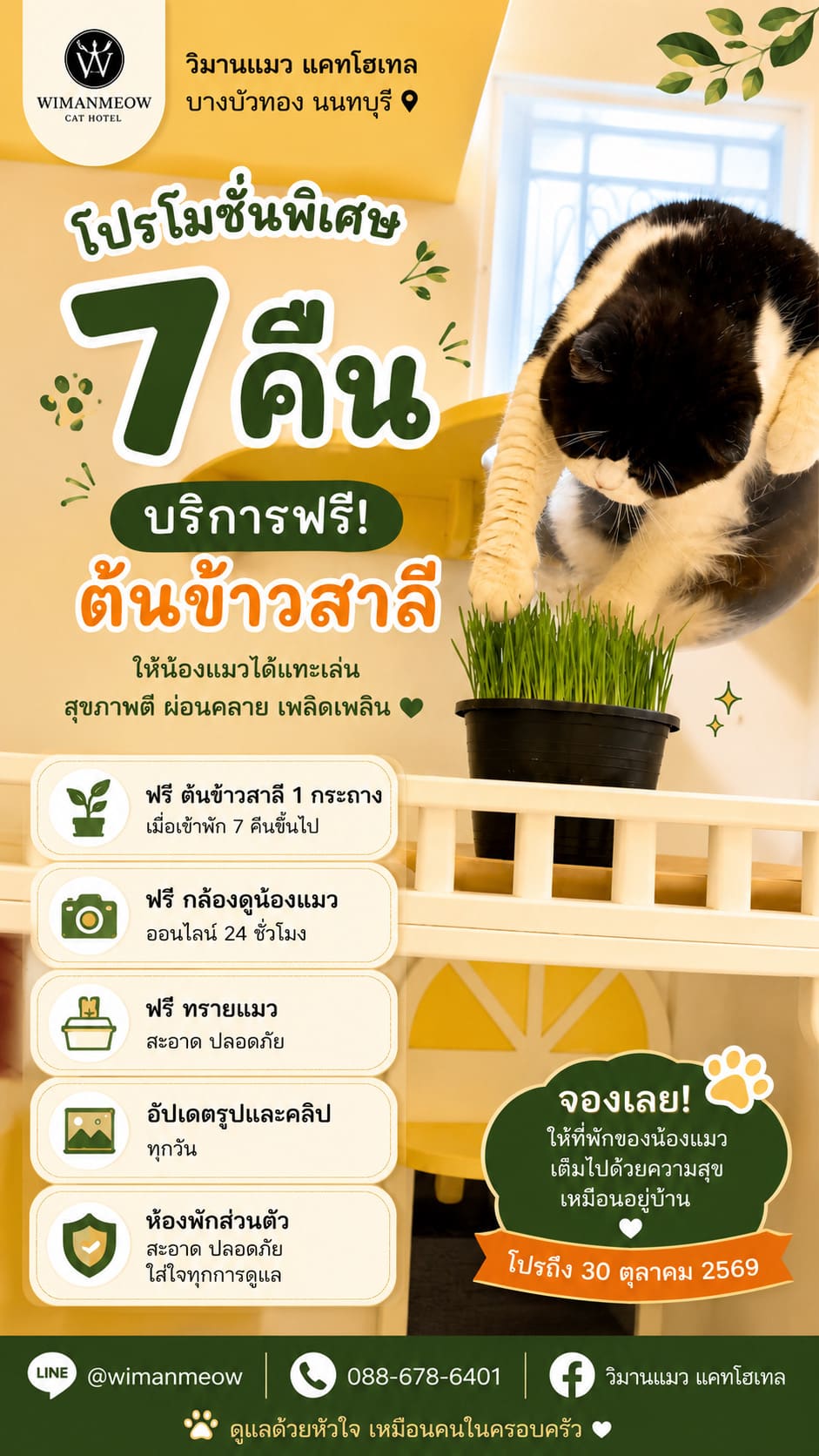 ฝากแมวราชพฤกษ์ ราคาเริ่มต้น 350 บาท วิมานแมว แคทโฮเทล