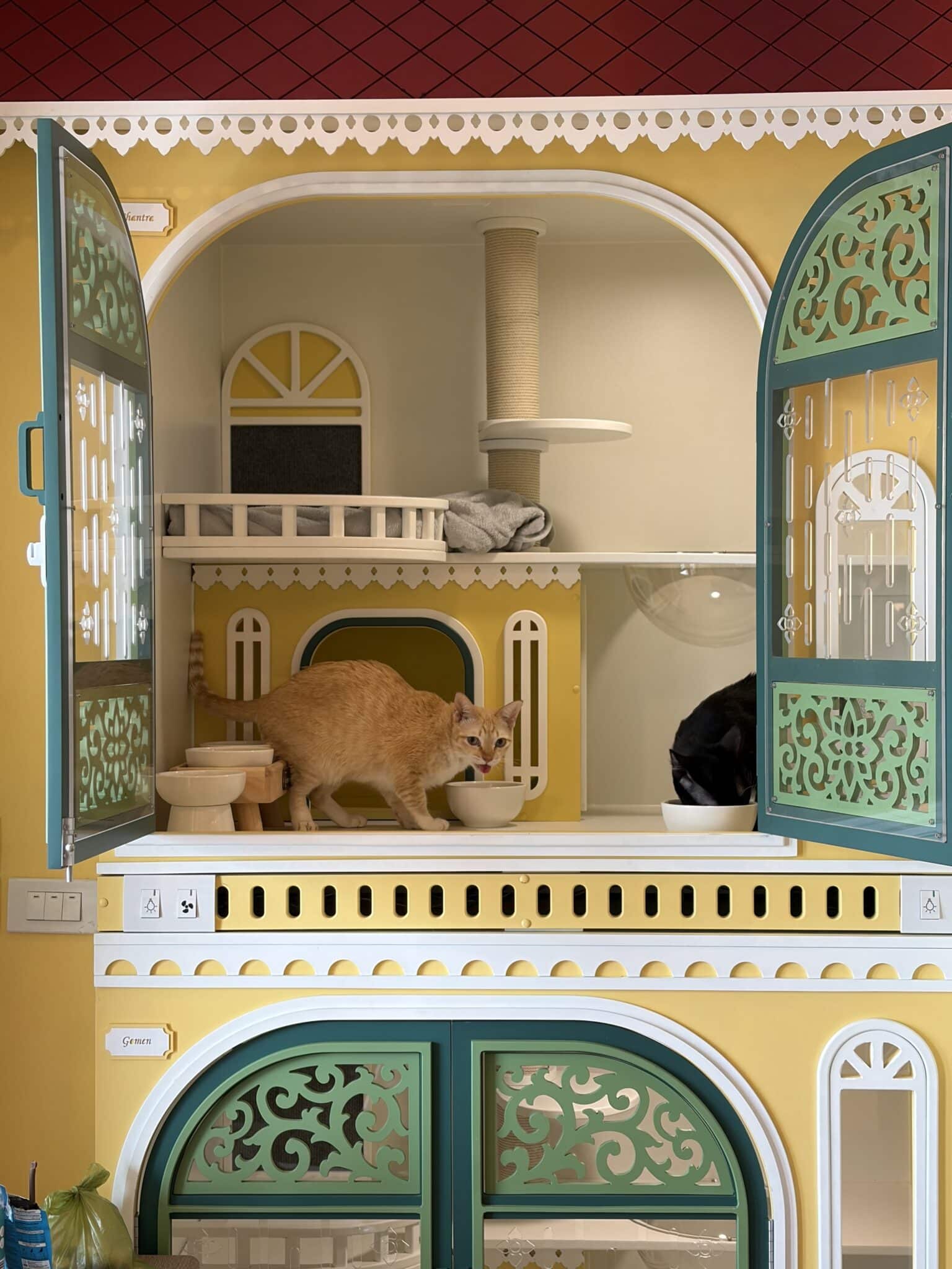 ความปลอดภัยของโรงแรมแมวห้องพักแมวระบบปิดระดับพรีเมียม Wimanmeow Cat Hotel โรงแรมแมวนนทบุรี บางบัวทอง
