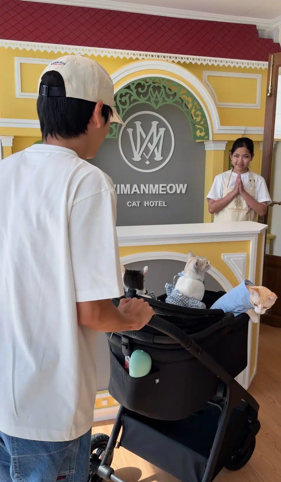 อย่าปล่อยแมวอยู่บ้านคนเดียวWimanmeow มีพื้นที่ปลอดภัยและคนดูแล