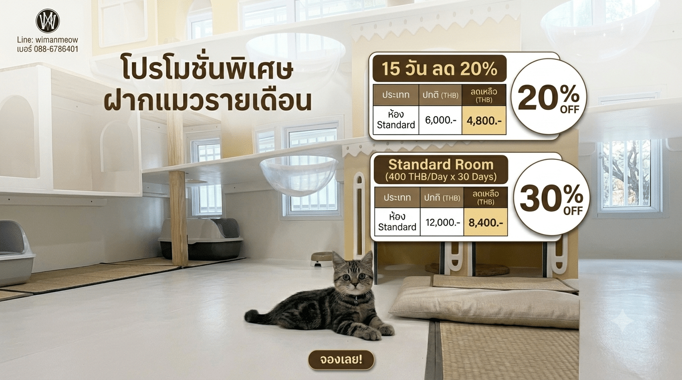 บริการรับฝากแมวรายเดือน ราคาถูก ห้องพักสะอาด ระบบปิด