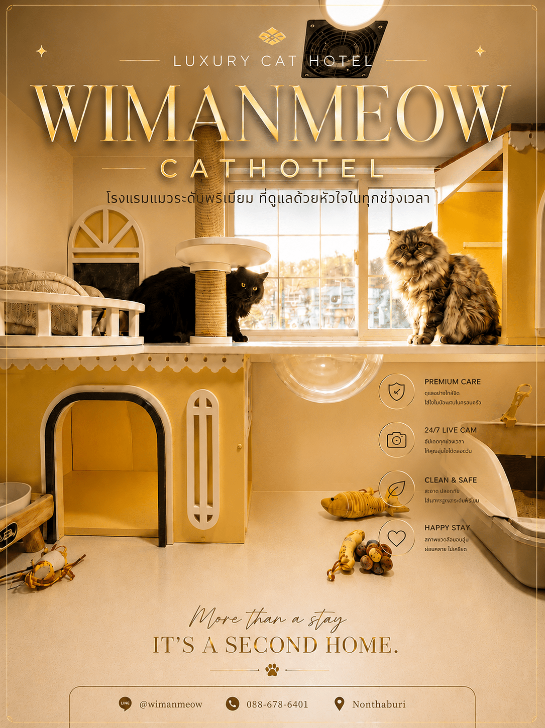 โรงแรมแมว ปากเกร็ด ใกล้บางบัวทอง ห้องพักแมวสะอาดปลอดภัยที่ Wimanmeow Cat