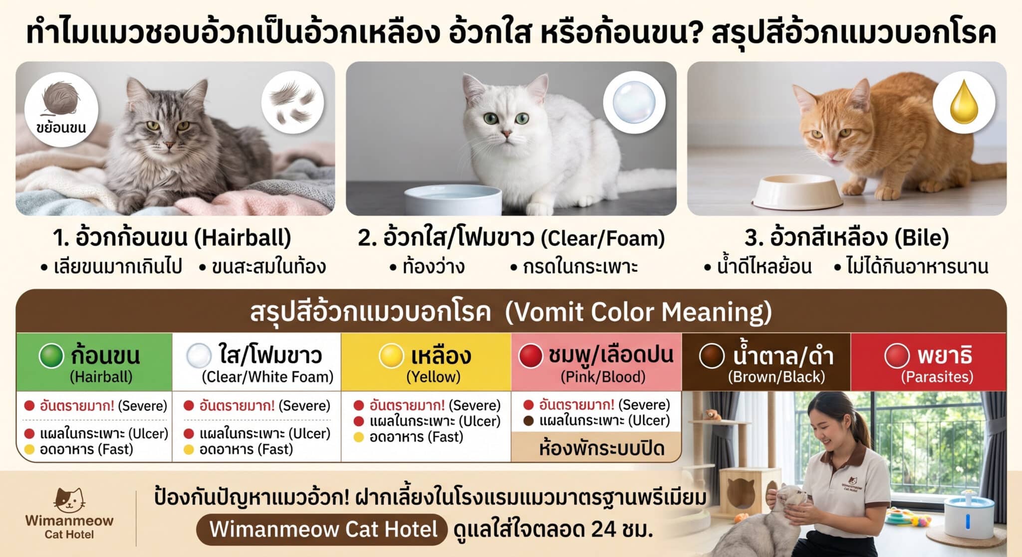 อินโฟกราฟิกสรุปสาเหตุแมวอ้วกสีเหลือง อ้วกใส ก้อนขน และตารางสรุปสีอ้วกแมวบอกโรค Wimanmeow Cat Hotel