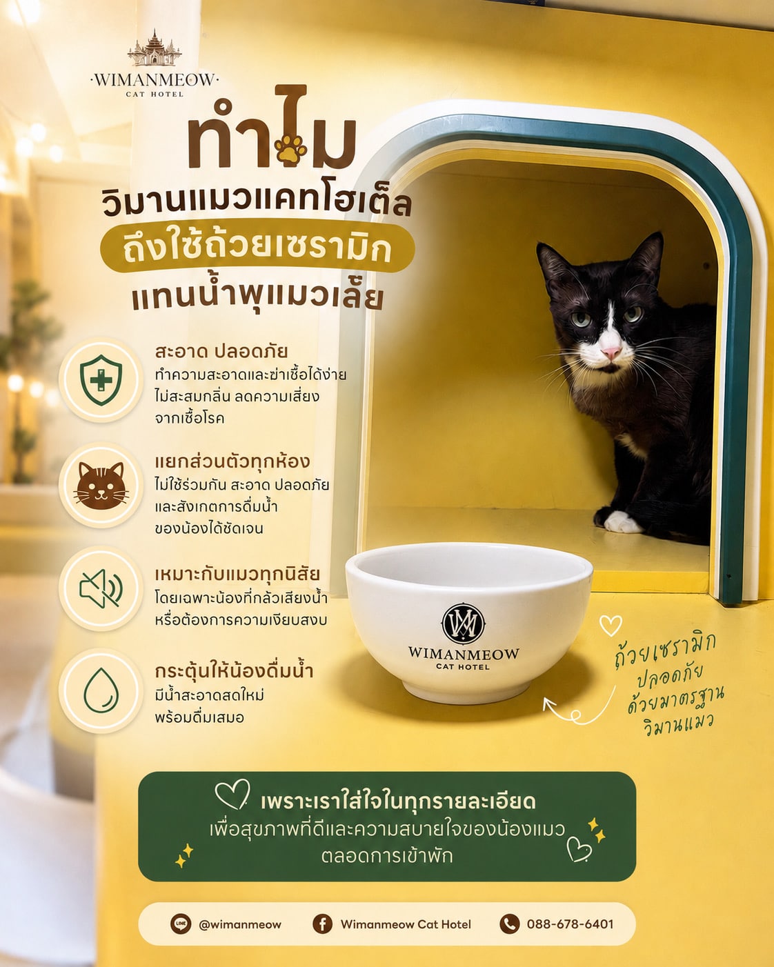 ถ้วยเซรามิกสำหรับแมวใส่อาหารแมวสะอาดปลอดภัยในโรงแรมแมววิมานเหมียว