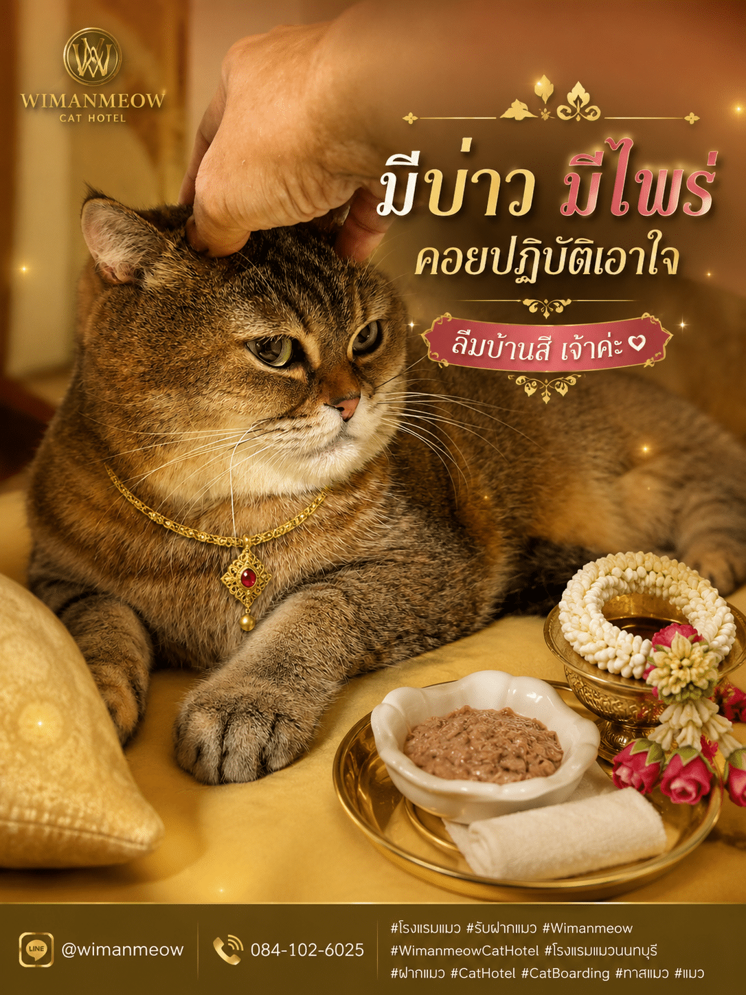 ดูแลแมวสูงอายุ แมวสูงอายุกับอาหารและที่นอน บริการโรงแรมแมววิมานแมว บางบัวทอง