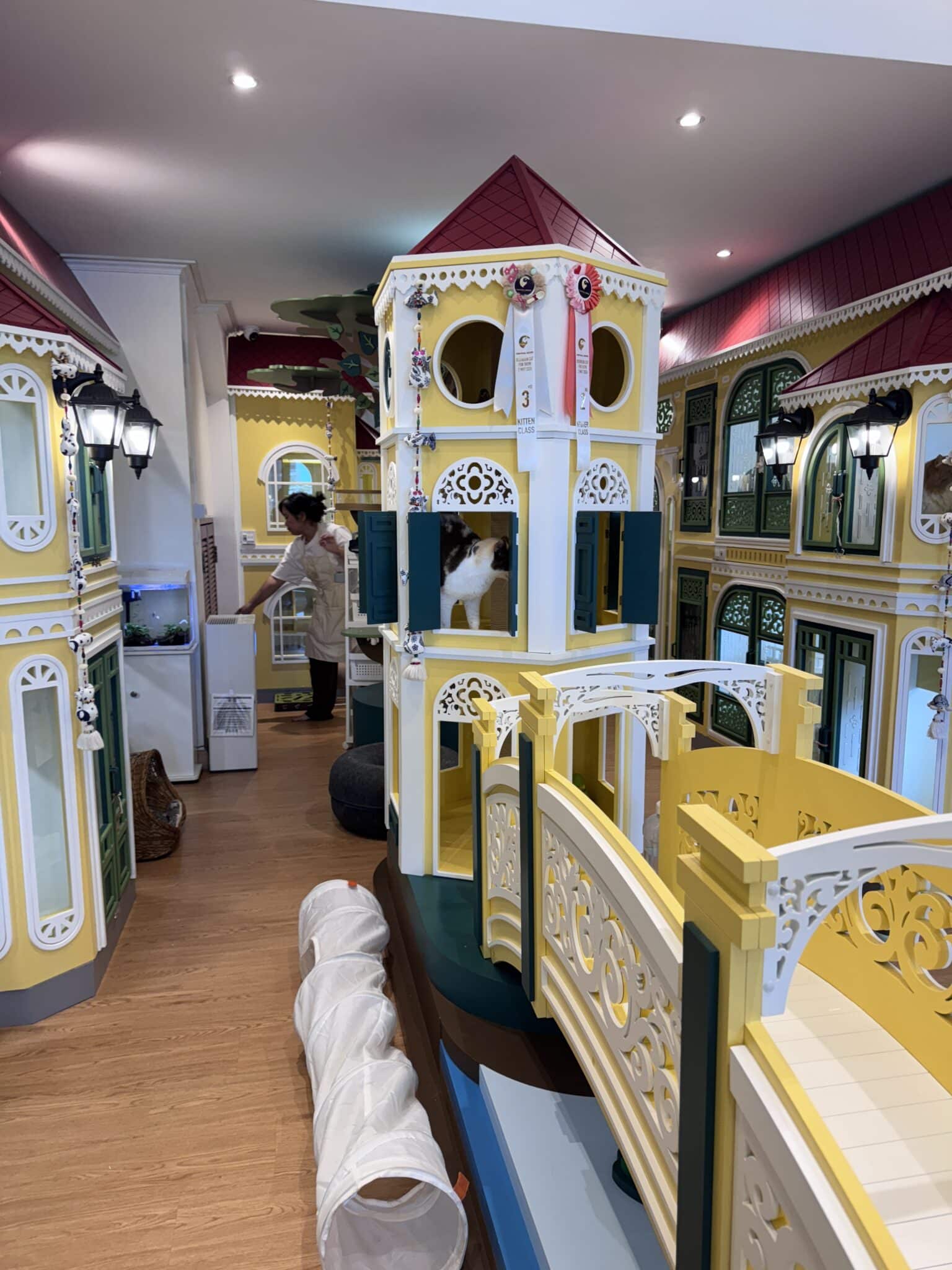 Wimanmeow Cat Hotel โรงแรมแมว บางใหญ่ บางบัวทอง ห้องพักกว้างไม่ขังกรง