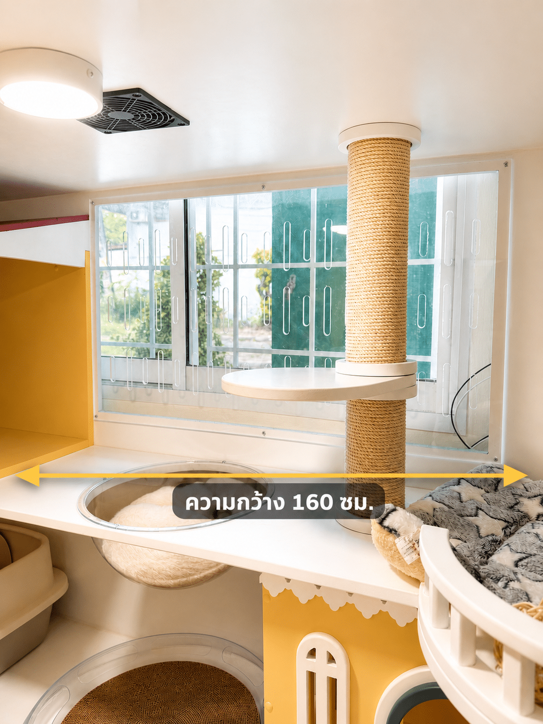 ห้องพักแมวกว้าง 160 ซม. สำคัญต่อความสบายของน้องอย่างไร 2 ภาพภายในห้องพักพร้อมเส้นบอกระยะ 160 ซม.